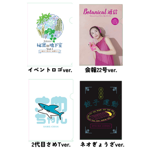 『Wakanaの秘密の地下室 vol.1』クリアファイル４枚セット